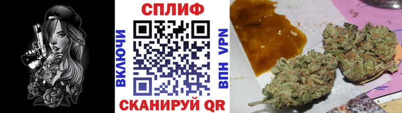 где купить наркоту  Арамиль  Каннабис конопля 